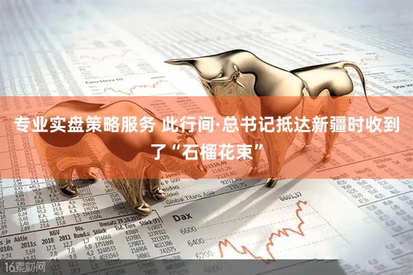 专业实盘策略服务 此行间·总书记抵达新疆时收到了“石榴花束”