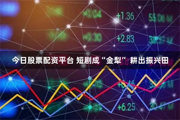 今日股票配资平台 短剧成“金犁” 耕出振兴田